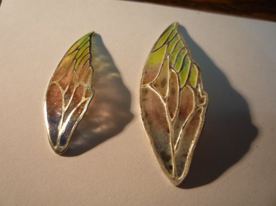 13443205_10153767703523107_163287309259855853_o